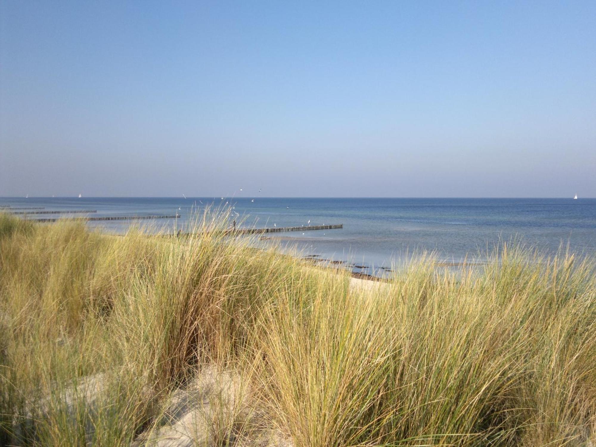 Comfortable Near Insel Poel